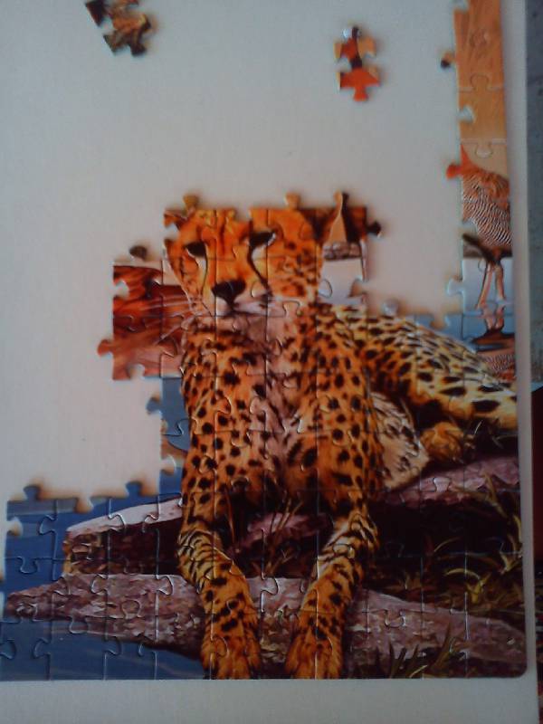 Иллюстрация 9 из 14 для Step Puzzle-1500 "В мире животных" (83042) | Лабиринт - игрушки. Источник: Ленкова  Юлия Вячеславовна