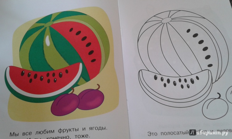 Иллюстрация 9 из 14 для Фрукты и ягоды. Малинка | Лабиринт - книги. Источник: Док-2509