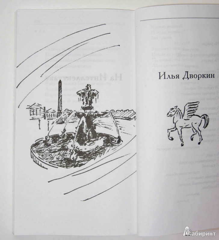 Иллюстрация 3 из 25 для Двое на Пегасе - Дворкин, Смольников | Лабиринт - книги. Источник: М  Юлия