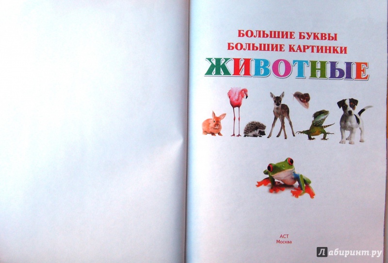 Иллюстрация 25 из 37 для Животные | Лабиринт - книги. Источник: Соловьев  Владимир