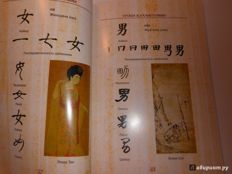 Иллюстрация 9 из 21 для Китайская живопись и каллиграфия. Уроки для начинающих (+DVD) - Жуй, Утянская | Лабиринт - книги. Источник: Леан