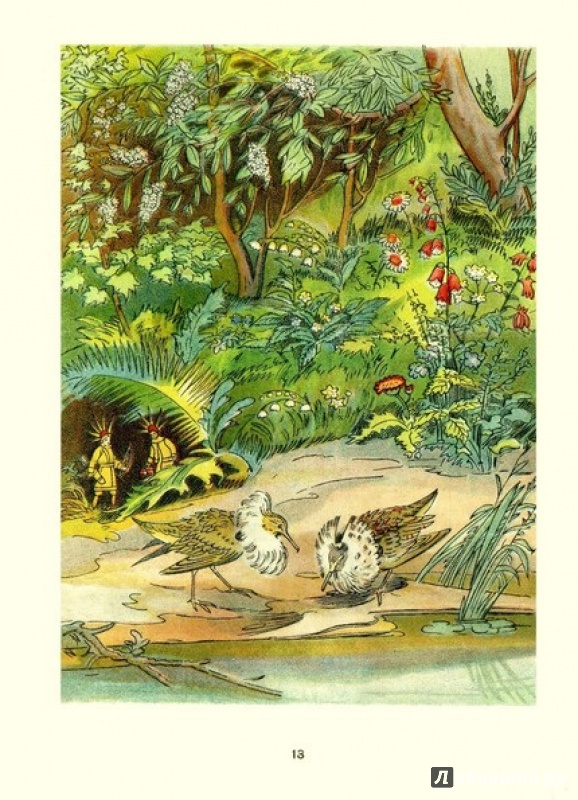 Иллюстрация 4 из 43 для Зой и Зоя - Виталий Бианки | Лабиринт - книги. Источник: gaduka1984