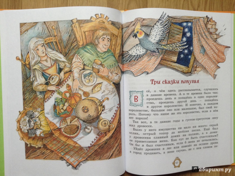 Иллюстрация 22 из 43 для Принцесса из Апельсина | Лабиринт - книги. Источник: Умная Дуня