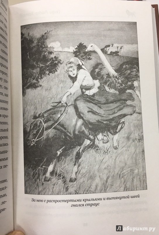 Иллюстрация 32 из 66 для Джесс. Повесть из времен Бурской войны - Генри Хаггард | Лабиринт - книги. Источник: Lina