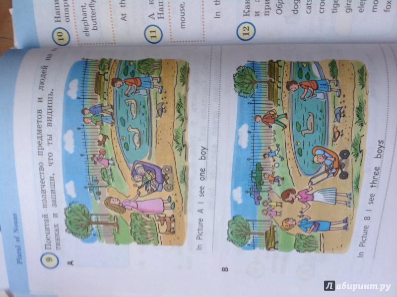 Иллюстрация 7 из 9 для Понятная английская грамматика для детей. 2 класс - Наталья Андреева | Лабиринт - книги. Источник: Колесникова  Мария