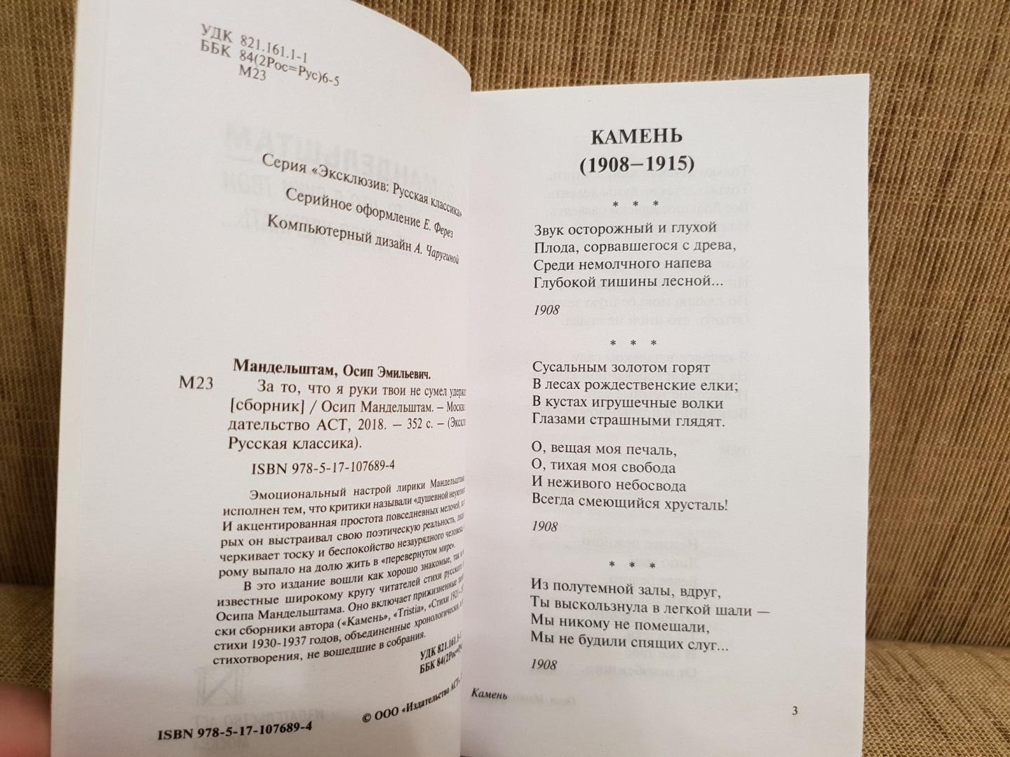 Иллюстрация 5 из 18 для За то, что я руки твои не сумел удержать... - Осип Мандельштам | Лабиринт - книги. Источник: Алексей Гапеев