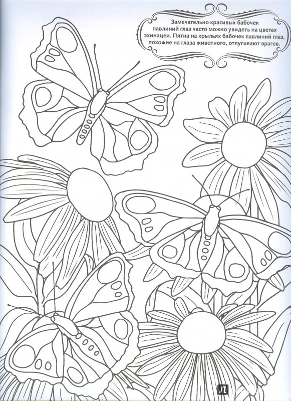 Иллюстрация 5 из 8 для Цветы и бабочки | Лабиринт - книги. Источник: Яровая Ирина