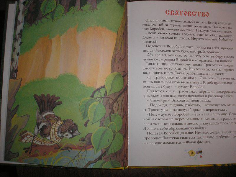 Иллюстрация 22 из 32 для Сказки Дремучего леса - Тамара Крюкова | Лабиринт - книги. Источник: Angela_mama