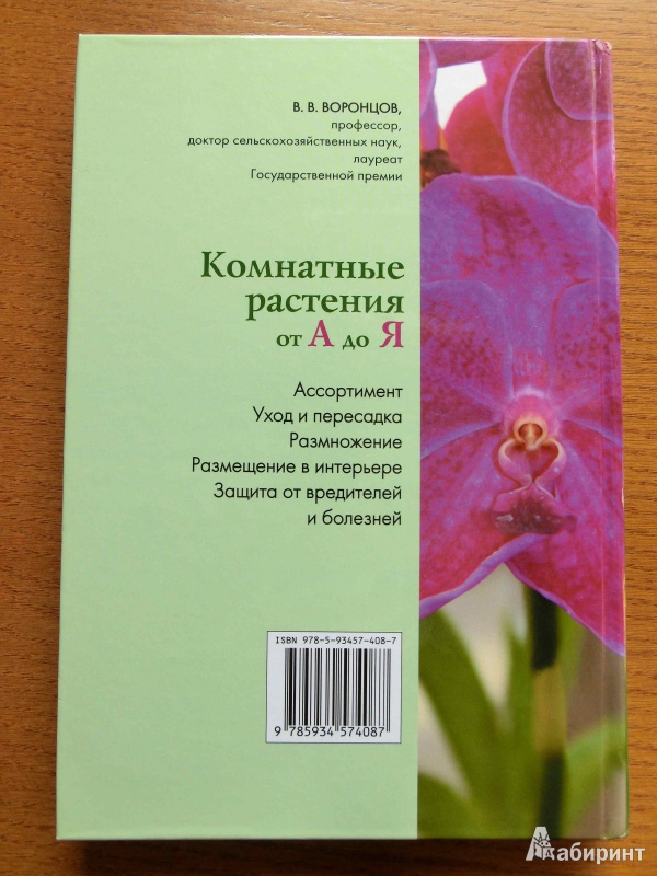 Иллюстрация 3 из 16 для Комнатные растения от А до Я - Валентин Воронцов | Лабиринт - книги. Источник: стрелка