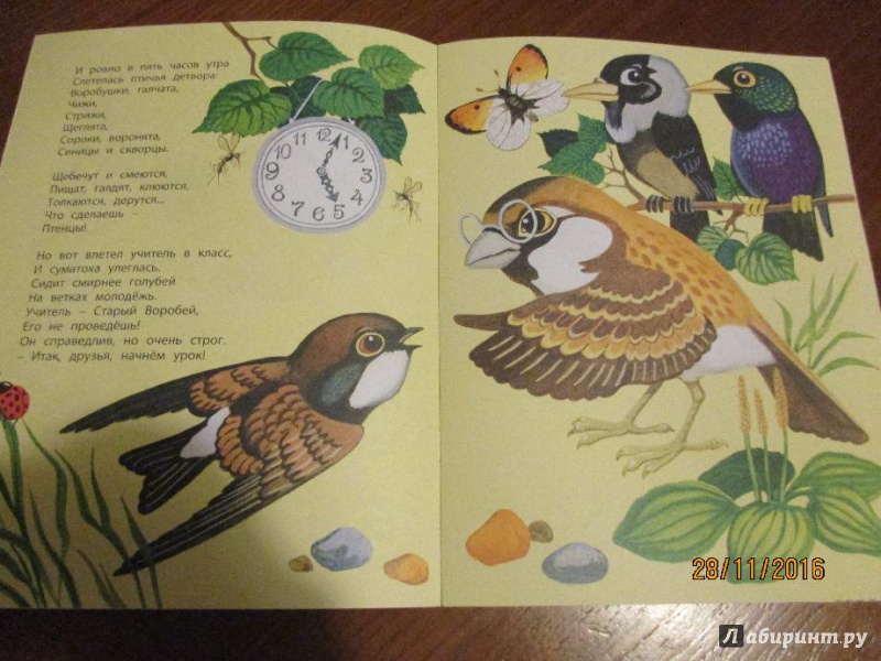 Иллюстрация 6 из 20 для Птичья школа - Борис Заходер | Лабиринт - книги. Источник: Марина Епифанцева