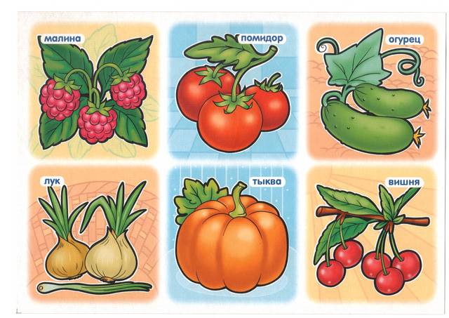 Иллюстрация 3 из 4 для Развивающее лото "Овощи, фрукты" (05261) | Лабиринт - игрушки. Источник: Irbis