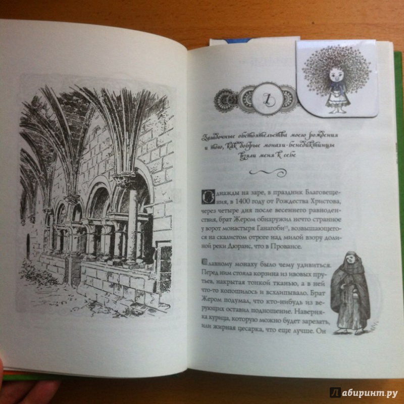 Иллюстрация 19 из 26 для Трактат о Волшебной стране Исмаэля Мериндоля, дополненное другими известными трудами - Исмаэль Мериндоль | Лабиринт - книги. Источник: Шиншилла