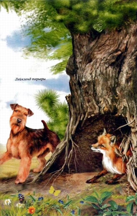 Иллюстрация 13 из 24 для Собаки - Е.И. Александрова | Лабиринт - книги. Источник: Panterra