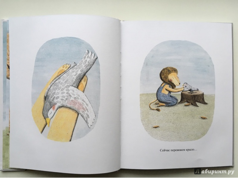 Иллюстрация 9 из 33 для Лев и птичка - Марианна Дюбюк | Лабиринт - книги. Источник: Чабуткина  Алина