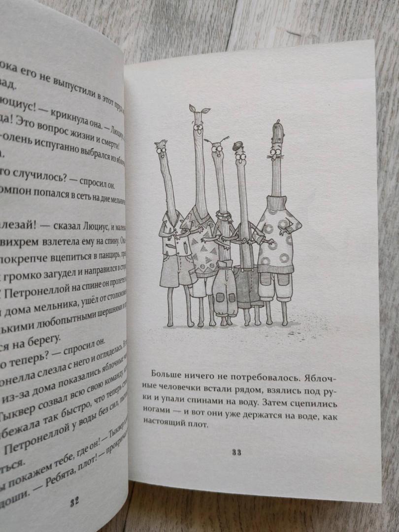 Иллюстрация 23 из 24 для Петронелла и темная история с цирком - Сабина Штэдинг | Лабиринт - книги. Источник: nz_books
