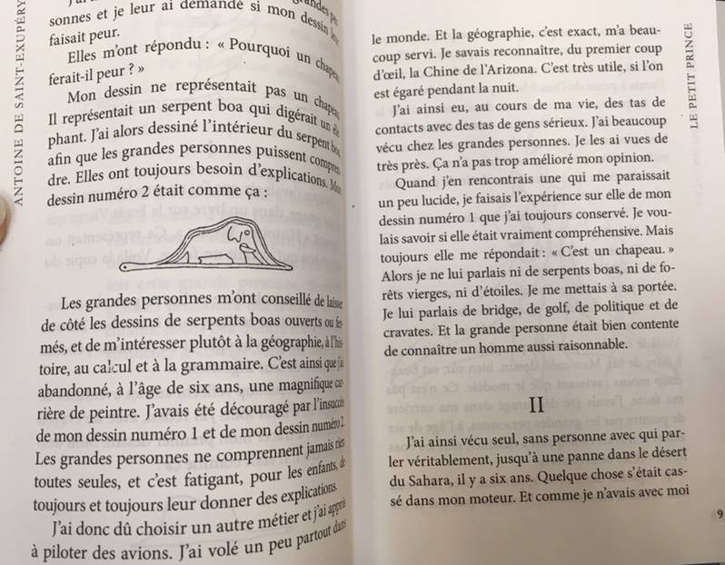 Иллюстрация 25 из 25 для Le Petit Prince. Vol De Nuit - Антуан Сент-Экзюпери | Лабиринт - книги. Источник: Nika