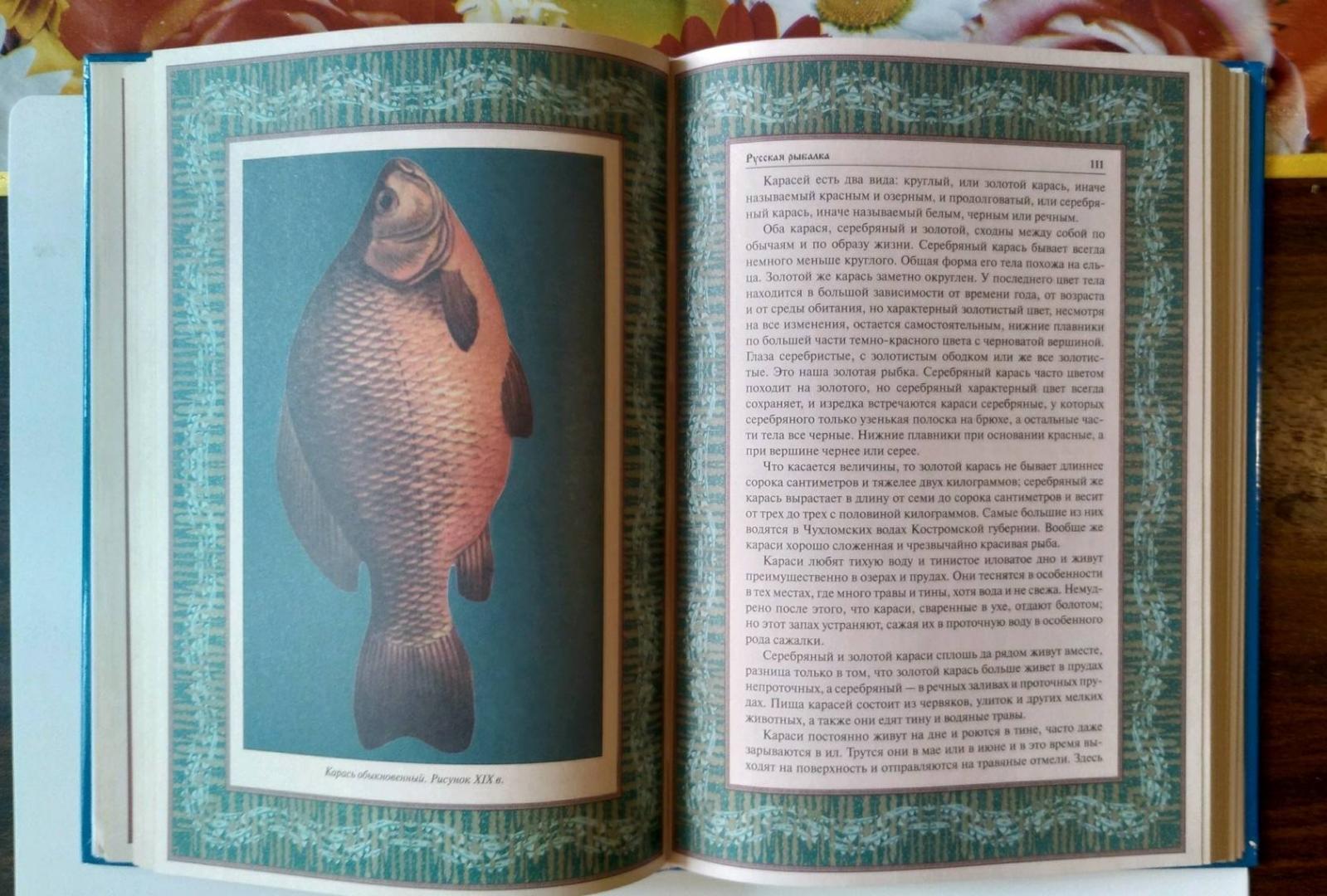Иллюстрация 26 из 33 для Русская рыбалка | Лабиринт - книги. Источник: Минаков Максим