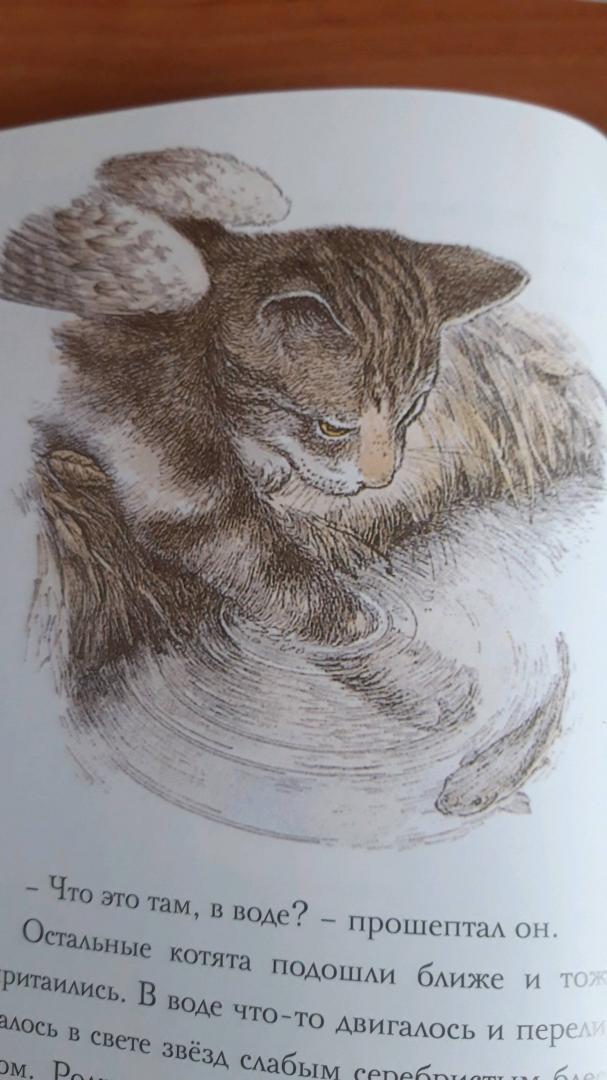 Иллюстрация 45 из 59 для Крылатые кошки - Гуин Ле | Лабиринт - книги. Источник: Лабиринт