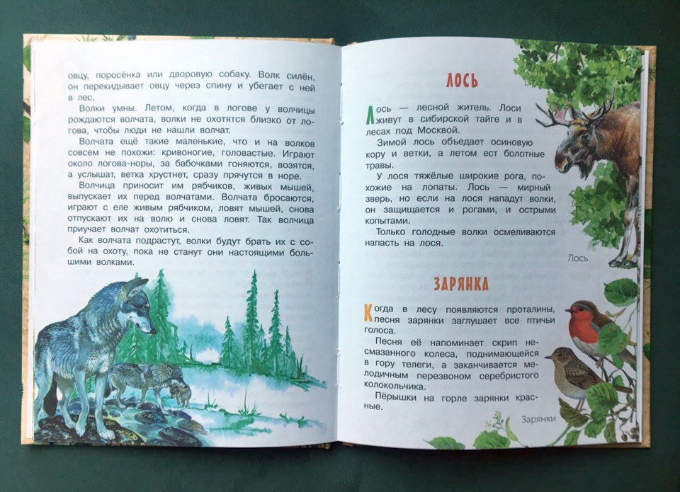 Иллюстрация 17 из 36 для Про птиц и зверей - Геннадий Снегирев | Лабиринт - книги. Источник: Лабиринт