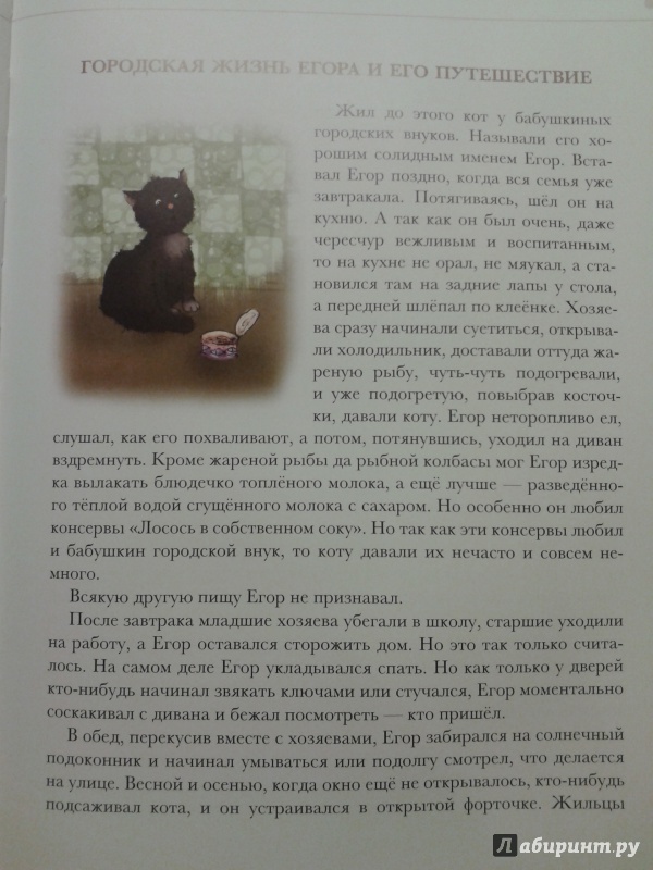 Каникулы кота егора. Наволочкин каникулы кота Егора. Каникулы кота Егора книга. Каникулы кота Егора иллюстрации.