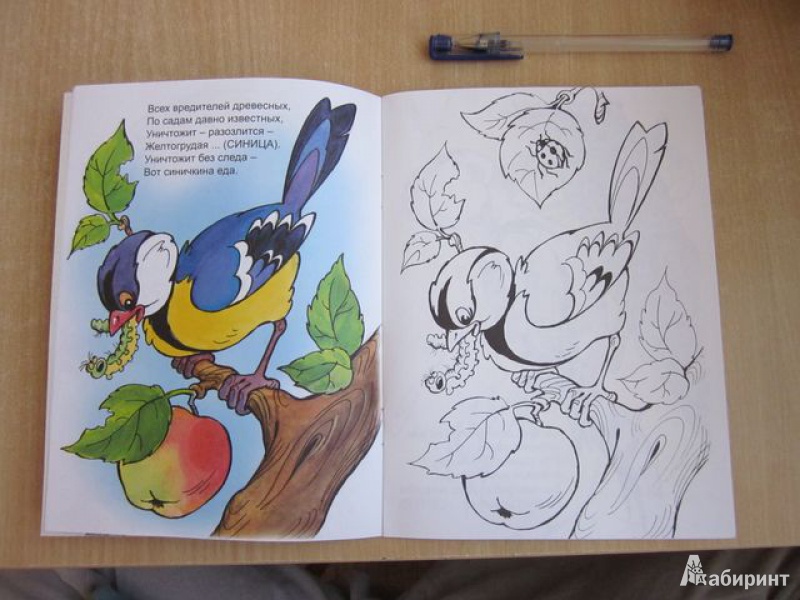 Иллюстрация 4 из 20 для Птичий обед - Юрий Чичев | Лабиринт - книги. Источник: Мeдвeдицa