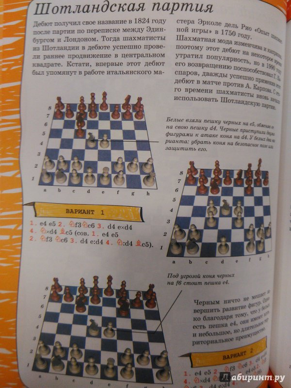 Иллюстрация 19 из 32 для Шахматы - Дмитрий Смирнов | Лабиринт - книги. Источник: Руслан