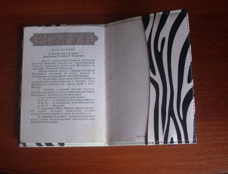 Иллюстрация 3 из 4 для Обложка для паспорта (Ps 7.6.5) | Лабиринт - канцтовы. Источник: Касьянова Оксана Владимировна