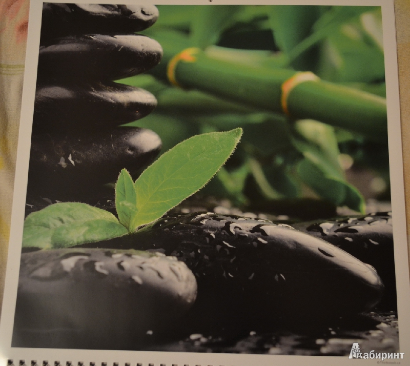 Иллюстрация 8 из 8 для Календарь-органайзер 2013. Гармония | Лабиринт - сувениры. Источник: Haruka Sudzumia