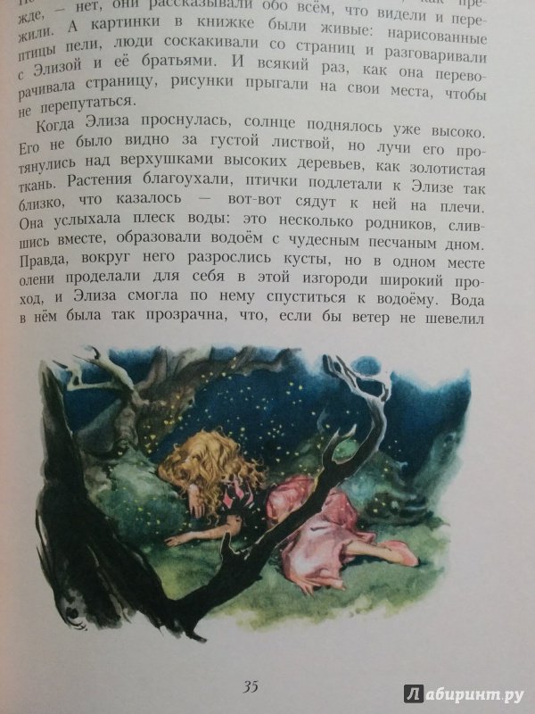 Иллюстрация 61 из 64 для Сказки - Ганс Андерсен | Лабиринт - книги. Источник: Natalie Leigh