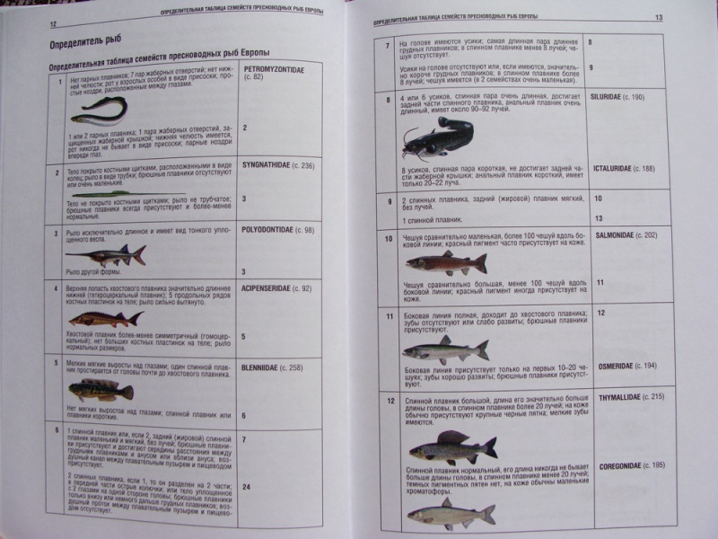 Иллюстрация 2 из 15 для Атлас рыб. Определитель пресноводных видов Европы - Мэйтленд, Сиделева, Линсел | Лабиринт - книги. Источник: Мария Гуляева