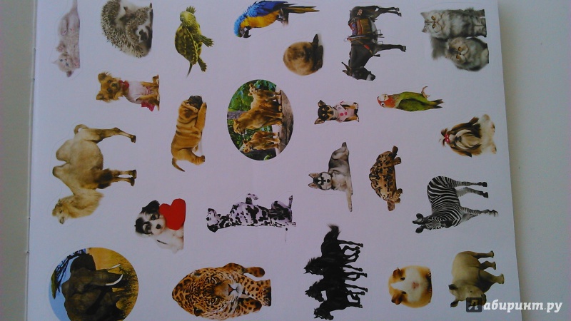 Иллюстрация 6 из 9 для 100 наклеек "Животные" | Лабиринт - игрушки. Источник: Пермякова  Олеся Александровна