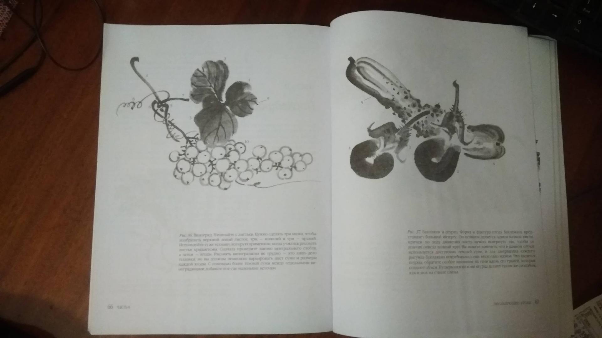 Иллюстрация 13 из 25 для Японская живопись тушью в стиле суйбоку - Рюкю Саито | Лабиринт - книги. Источник: Лабиринт