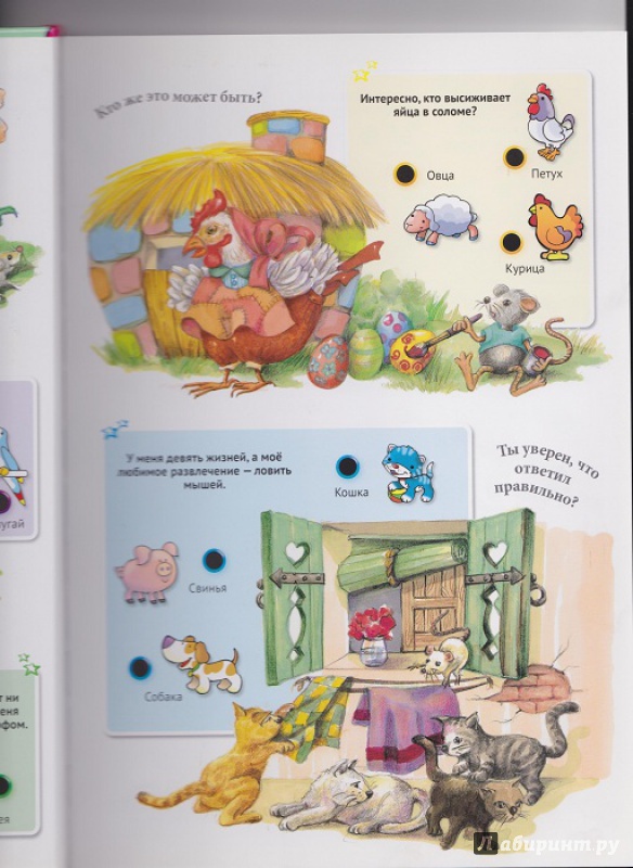 Иллюстрация 18 из 42 для Для малышей загадки о животных | Лабиринт - книги. Источник: Моисеева  Ирина