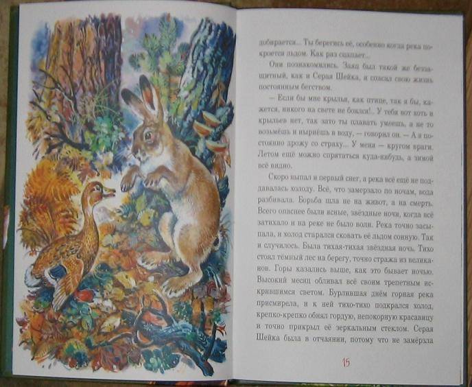 Иллюстрация 17 из 36 для Рассказы старого охотника - Дмитрий Мамин-Сибиряк | Лабиринт - книги. Источник: акка