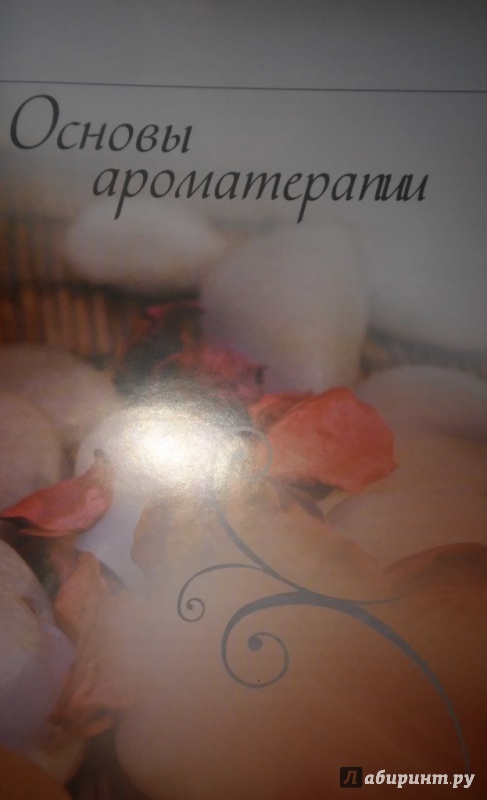 Иллюстрация 8 из 14 для Aroma & SPA. Подарочный комплект (Книга "Искусство ароматерапии"+DVD+Свеча) - Лили Грасс | Лабиринт - книги. Источник: WhiteOwl