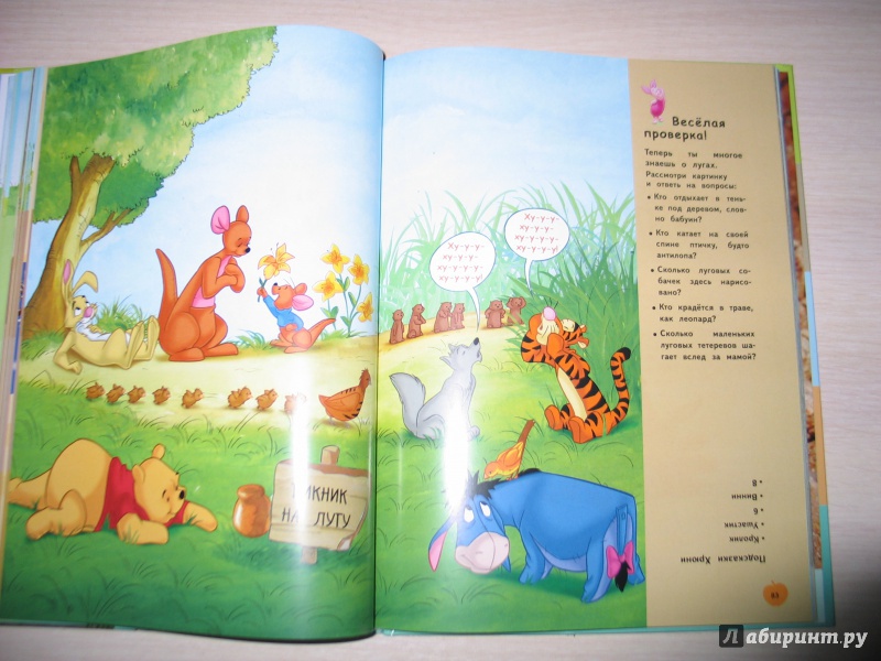 Иллюстрация 57 из 60 для Земля (Winnie the Pooh) | Лабиринт - книги. Источник: Лабиринт