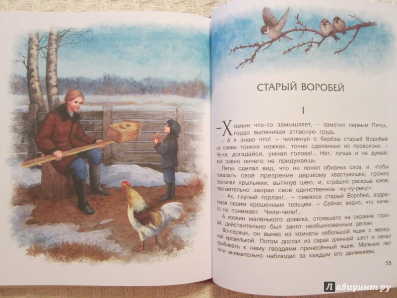 Иллюстрация 24 из 37 для Серая Шейка - Дмитрий Мамин-Сибиряк | Лабиринт - книги. Источник: ЮлияО
