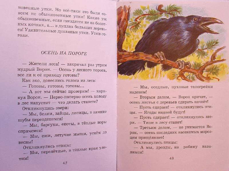 Иллюстрация 11 из 11 для Лесные сказки - Николай Сладков | Лабиринт - книги. Источник: samuel whiskers