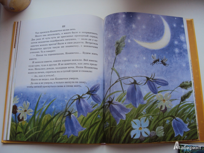 Иллюстрация 48 из 51 для Лягушка-путешественница | Лабиринт - книги. Источник: л.и.