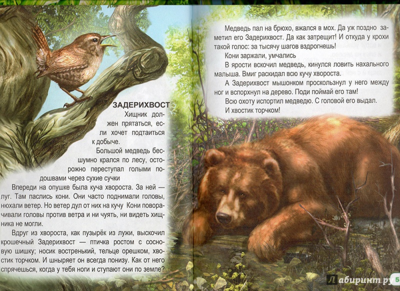 Иллюстрация 3 из 7 для Рассказы о животных | Лабиринт - книги. Источник: verbina