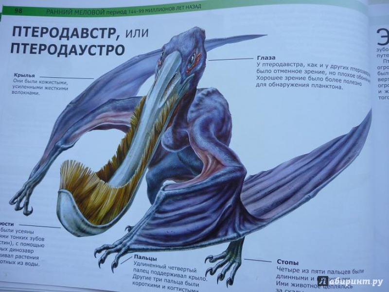 Иллюстрация 10 из 25 для Динозавры: монстры доисторической эпохи - Вероника Росс | Лабиринт - книги. Источник: Красавишна3