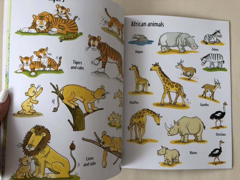 Иллюстрация 6 из 15 для First Sticker Book. Zoo | Лабиринт - книги. Источник: Вишневская  Юлия