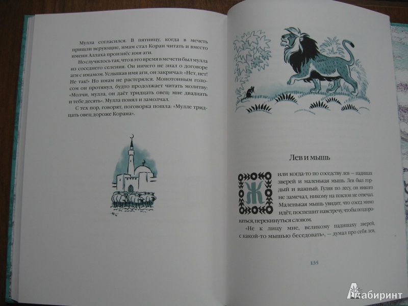 Иллюстрация 35 из 66 для Лев и мышь. Курдские сказки | Лабиринт - книги. Источник: Баскова  Юлия Сергеевна