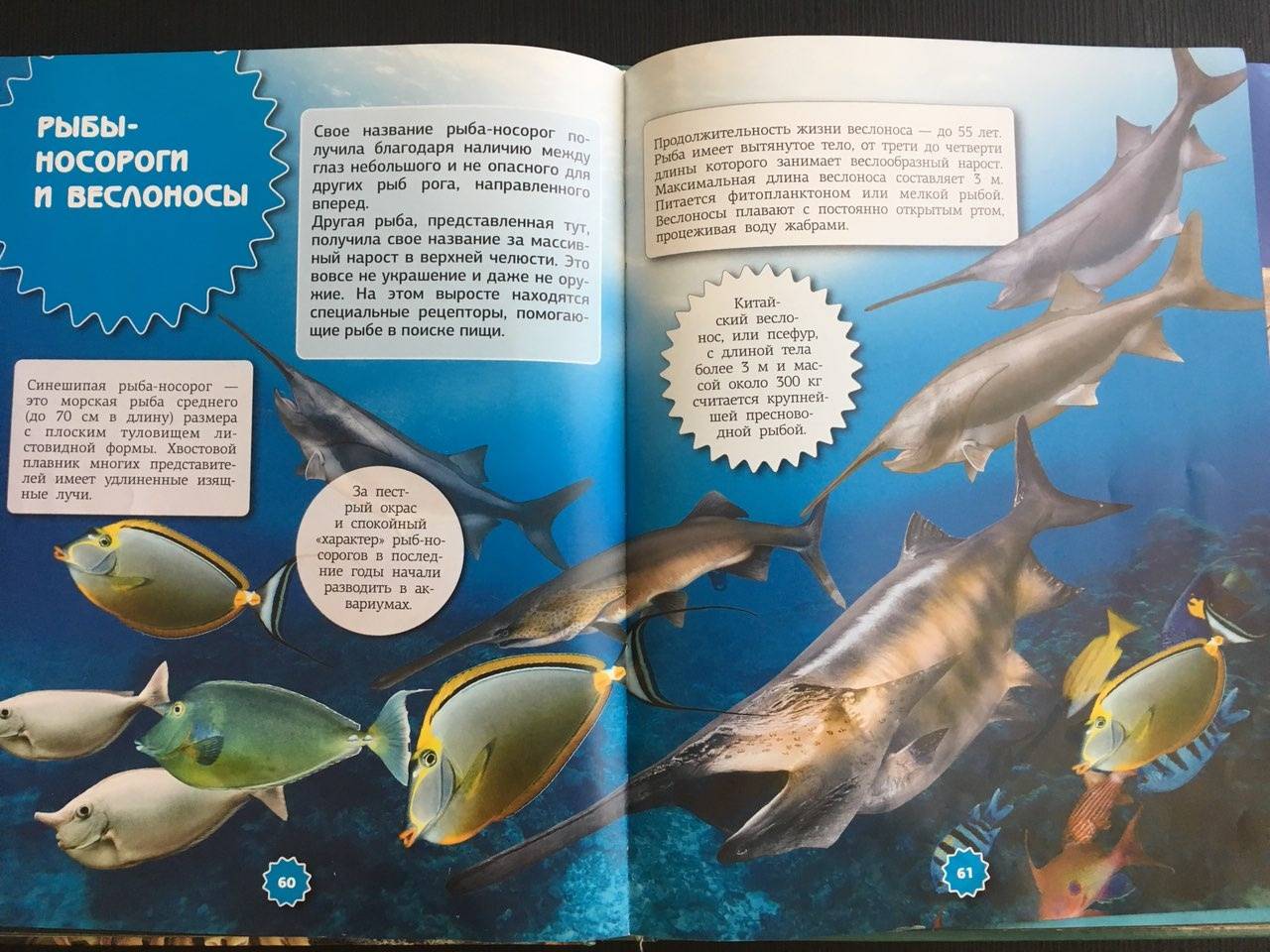 Иллюстрация 16 из 21 для Подводный мир - Ликсо, Третьякова | Лабиринт - книги. Источник: Ольга Тон