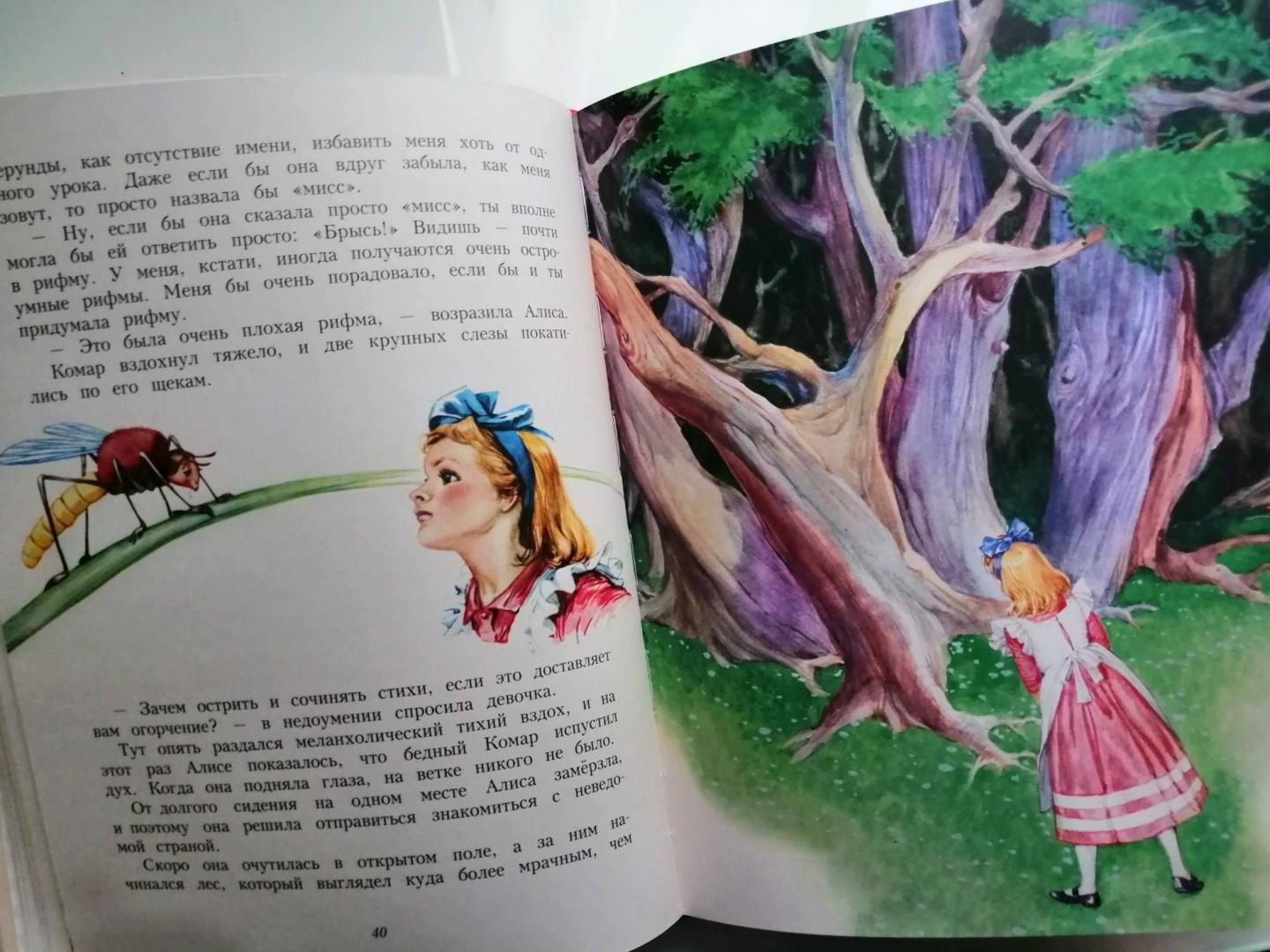 Иллюстрация 58 из 67 для Алиса в Зазеркалье - Льюис Кэрролл | Лабиринт - книги. Источник: Ш  Елена