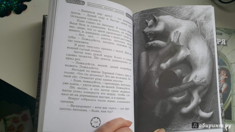 Иллюстрация 11 из 14 для Клинки и зелья - Михаил Логинов | Лабиринт - книги. Источник: Жар птица