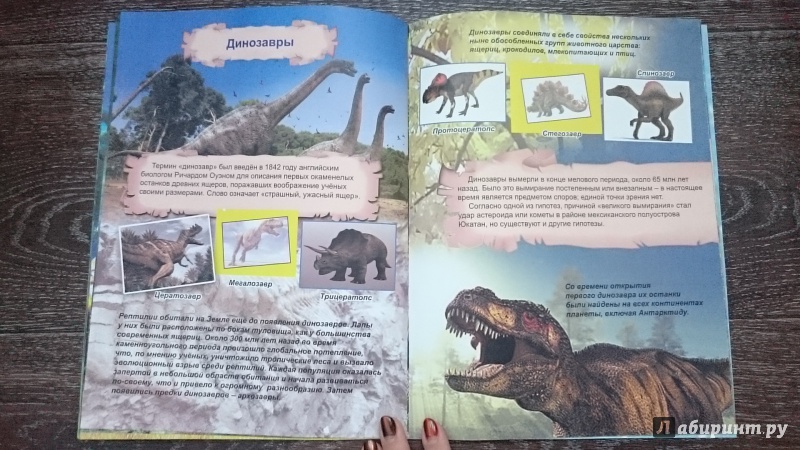 Иллюстрация 8 из 40 для Амфибии и рептилии | Лабиринт - книги. Источник: kamenniy_tsvetok