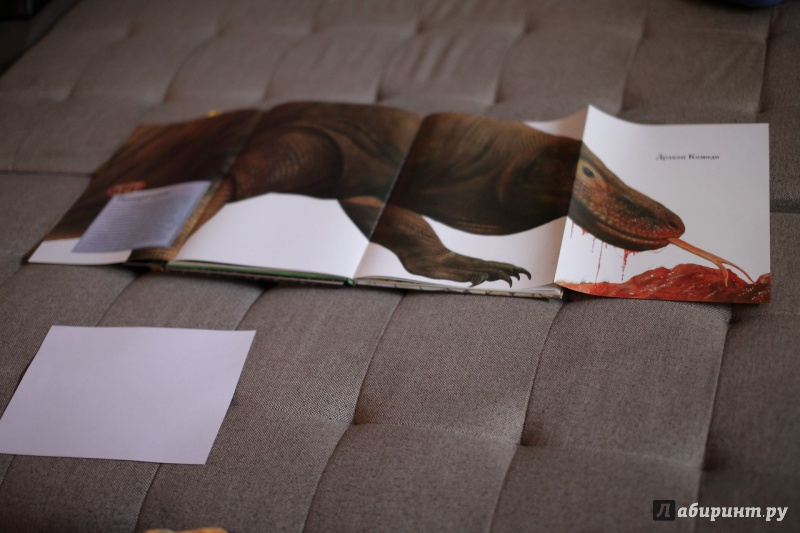 Иллюстрация 5 из 21 для Рептилии - Ханна Уилсон | Лабиринт - книги. Источник: Сорокина  Оленька Игоревна