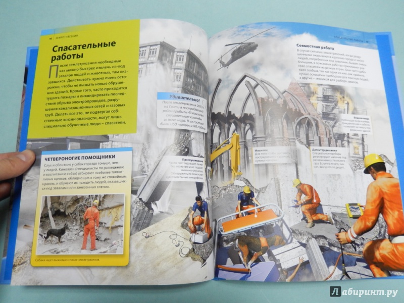 Иллюстрация 8 из 27 для Землетрясения | Лабиринт - книги. Источник: dbyyb
