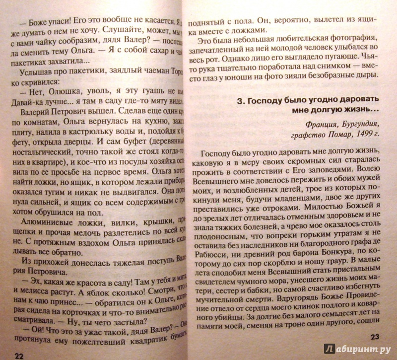 Иллюстрация 5 из 11 для Книга предсказанных судеб - Мария Очаковская | Лабиринт - книги. Источник: Соловьев  Владимир